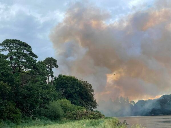 The fire at near Ballinakill Downs. Pic: Eoghan Hartery The fire at near Ballinakill Downs. Pic: Eoghan Hartery
