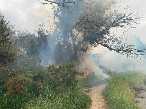 The fire at near Ballinakill Downs riverwalk. Pic: Eoghan Hartery The fire at near Ballinakill Downs riverwalk. Pic: Eoghan Hartery