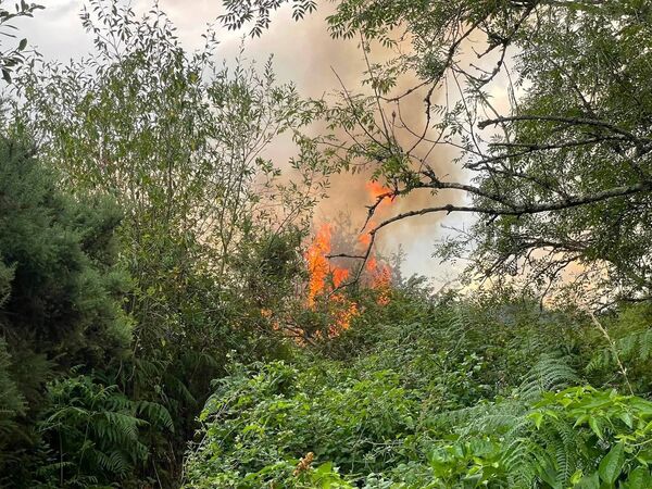 The fire at near Ballinakill Downs. Pic: Eoghan Hartery The fire at near Ballinakill Downs. Pic: Eoghan Hartery