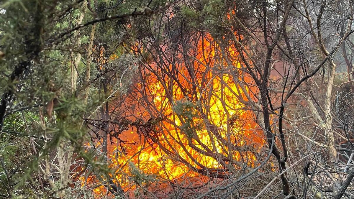 Fire at popular walkway in Waterford City devastates community