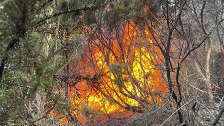 Fire at popular walkway in Waterford City devastates community