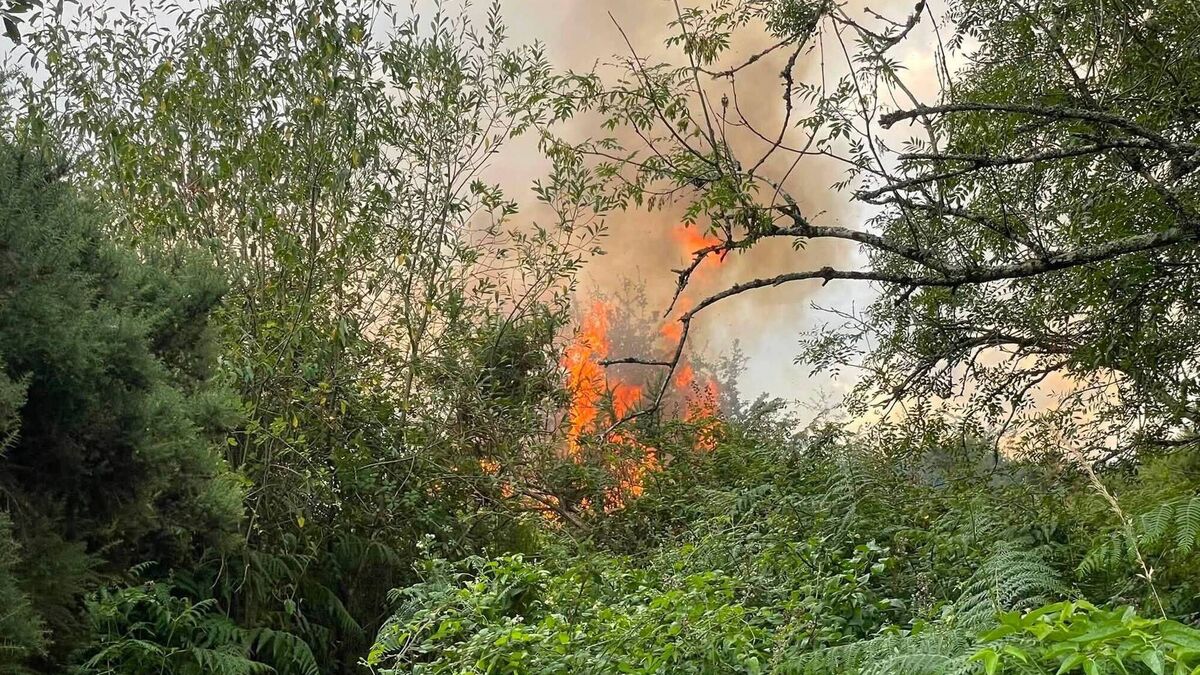 WATCH: Video captures extent of gorse fire in Waterford City