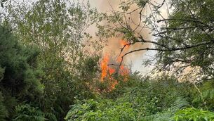 <p>The fire caused extensive damage to the natural flora and habitat on the riverwalk. Pic: Eoghan Hartery</p> <p>The fire caused extensive damage to the natural flora and habitat on the riverwalk. Pic: Eoghan Hartery</p>