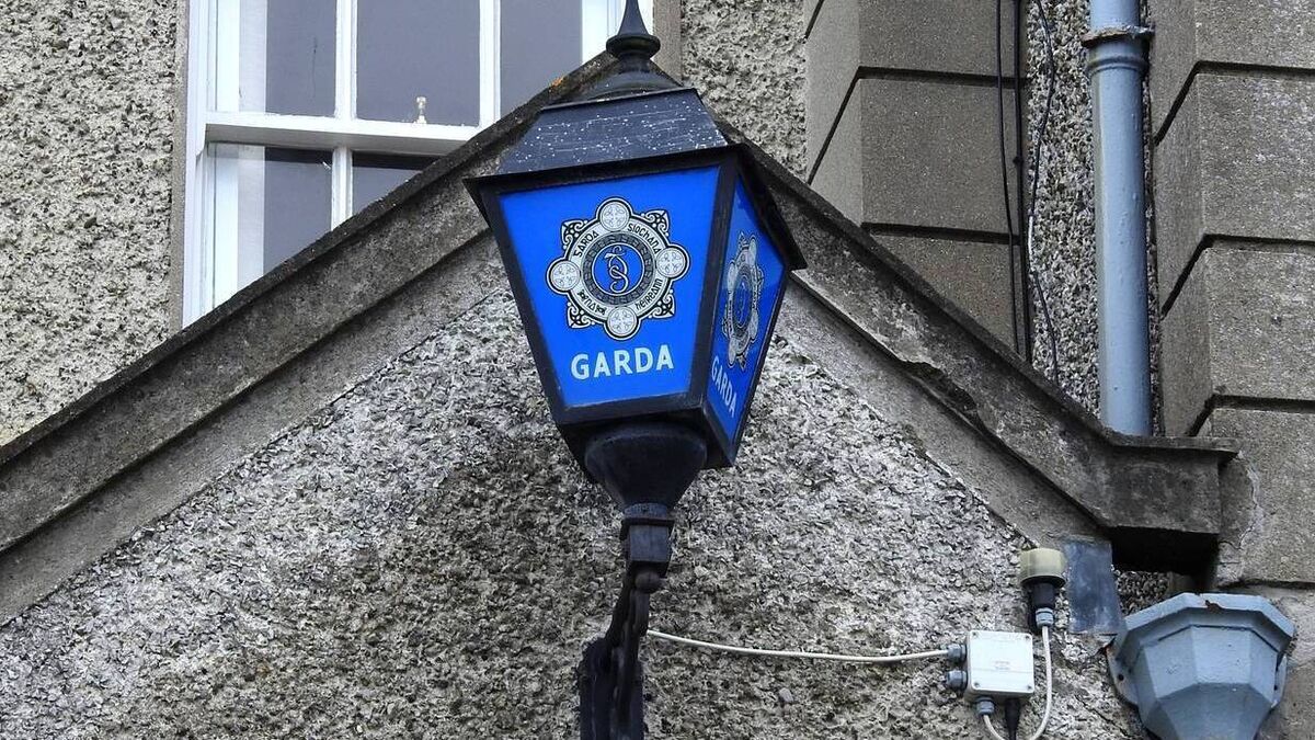 Waterford gardaí investigate late night burglary of a store where staff were working