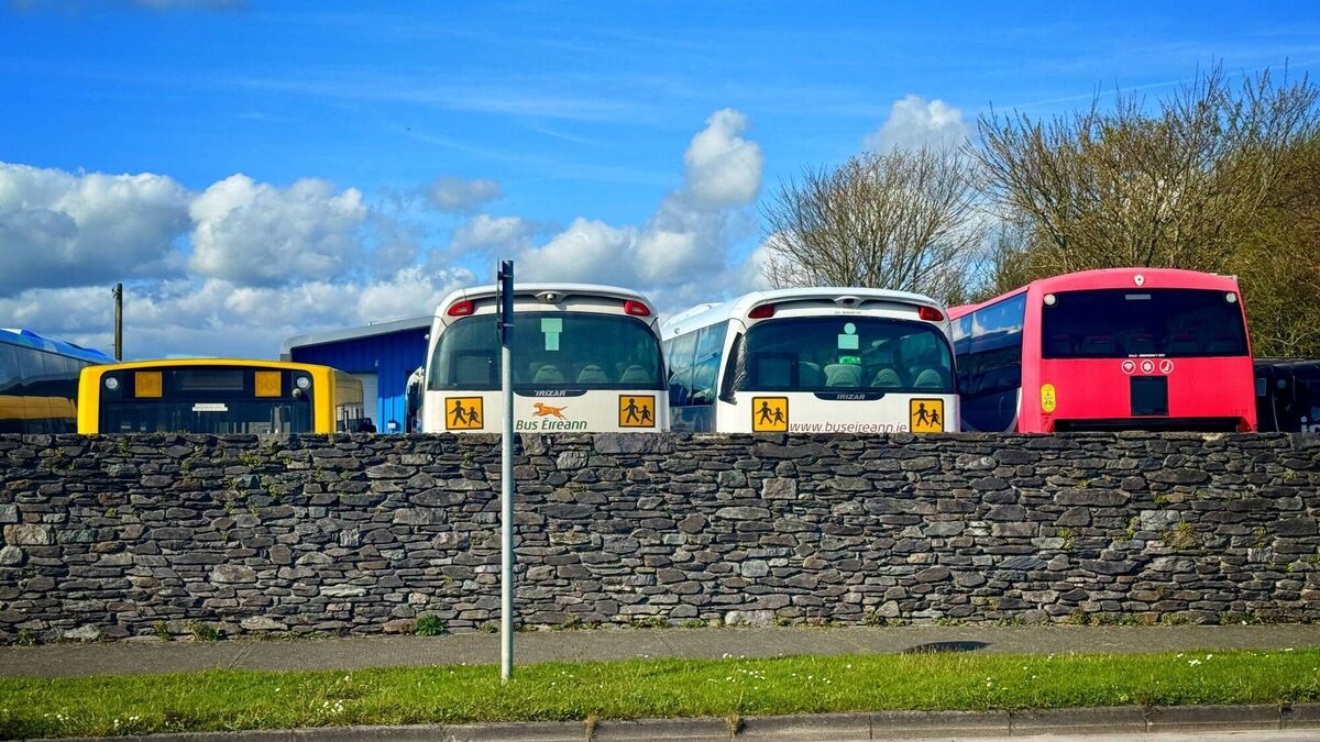 Waterford’s Exclusion from the BusConnects Programme poses high risk to safety of school children