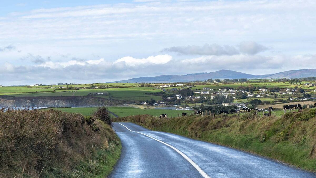 Waterford TDs call for accelerated rollout of Connecting Ireland services in the county