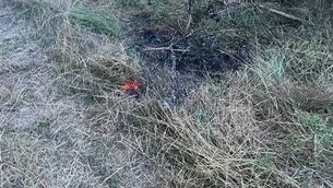 <p>The fire was set in Riverwalk. Photo: Eoghan Hartery.</p> <p>The fire was set in Riverwalk. Photo: Eoghan Hartery.</p>