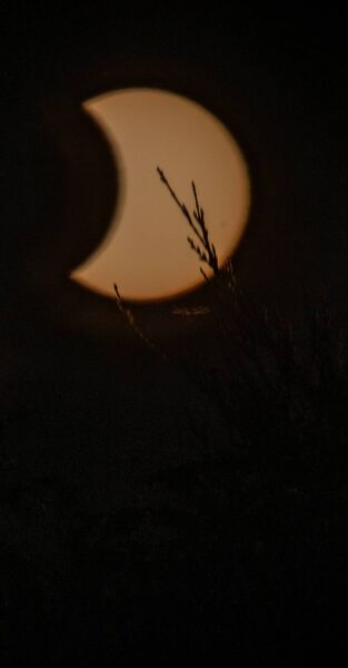 The solar eclipse took place on Wednesday, August 11. Pic: Joe Evan The solar eclipse took place on Wednesday, August 11. Pic: Joe Evan