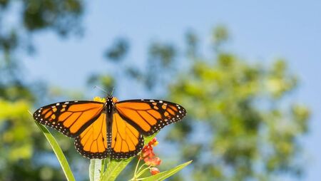 Have your day on Waterford's new biodiversity plan