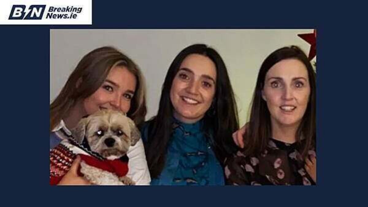 Vigil to take place in Co Carlow for three sisters and boy injured in M9 crash