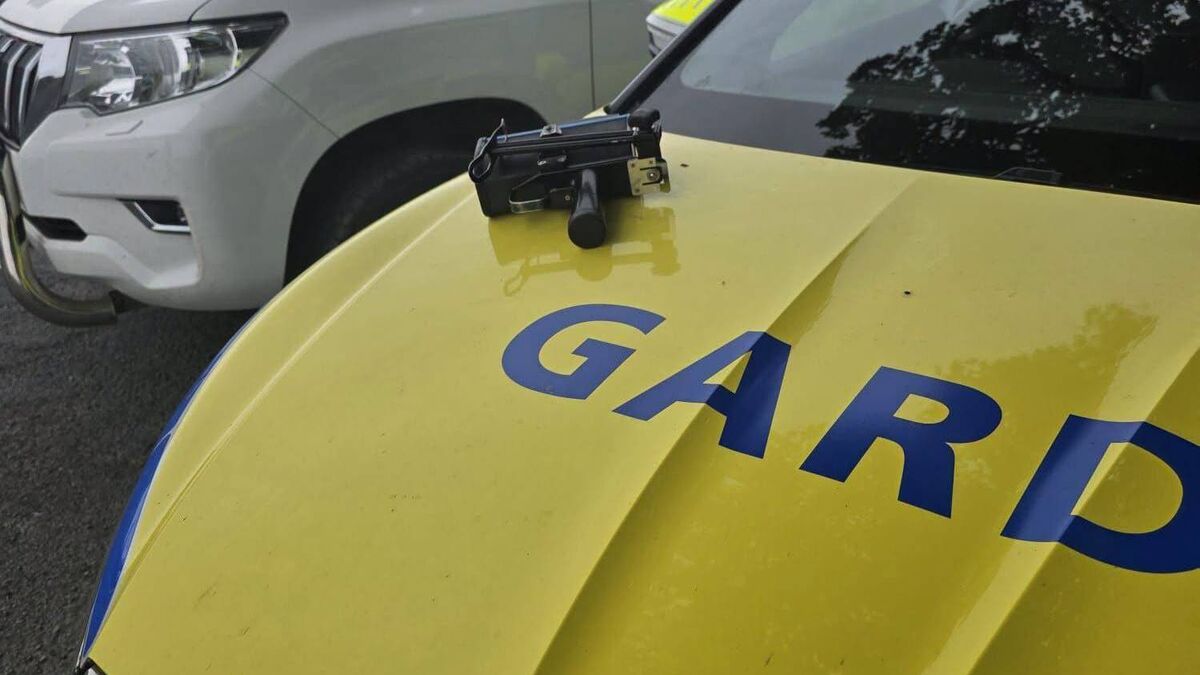 'We have too many lives lost on the roads this year,' Gardaí's plea for drivers to slow down