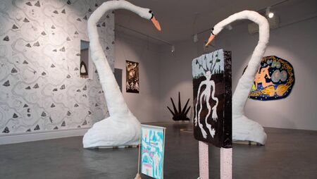 Latest GOMA Waterford exhibition is launched