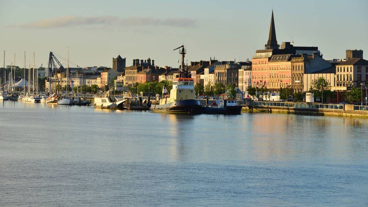 Person and cat rescued from river in Waterford City