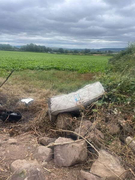 A mattress abandoned in a field A mattress abandoned in a field