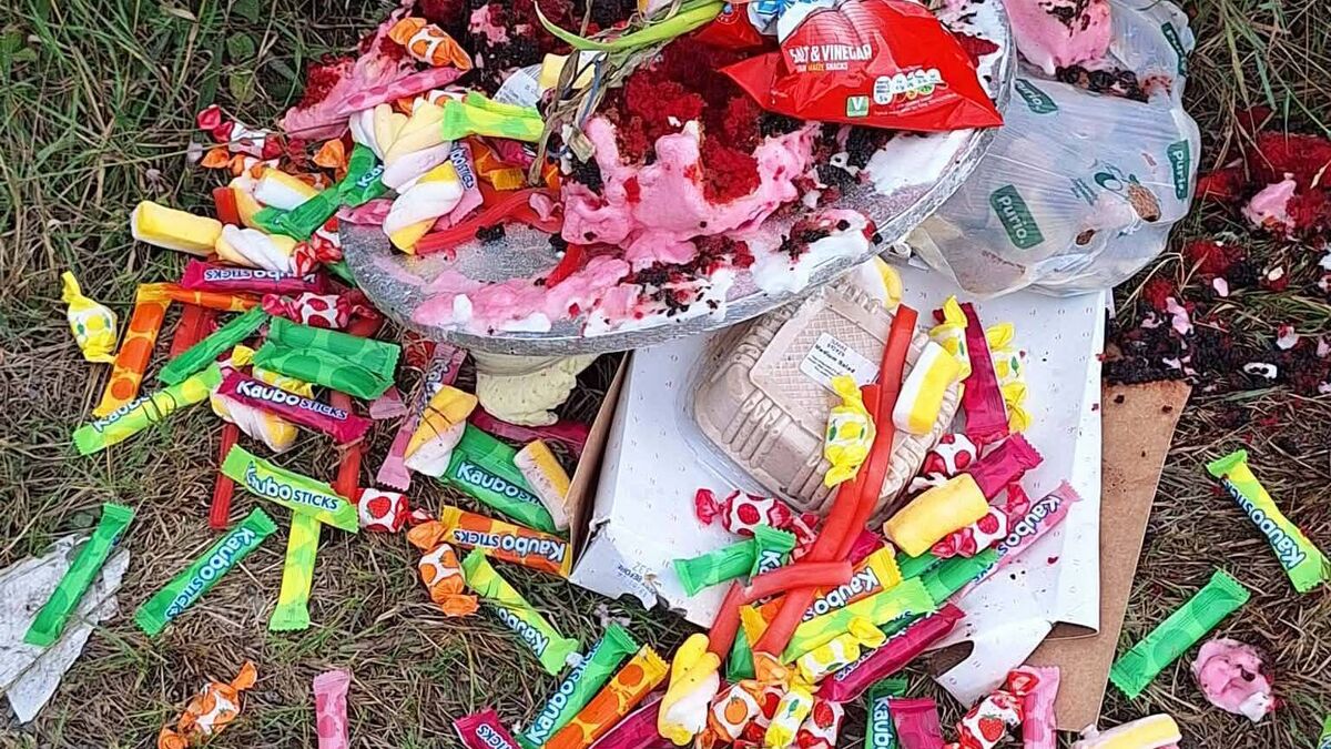 Mattress left in field and a birthday party dumped, fly tipping in county Waterford highlighted
