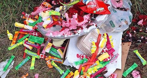 Mattress left in field and a birthday party dumped, fly tipping in county Waterford highlighted