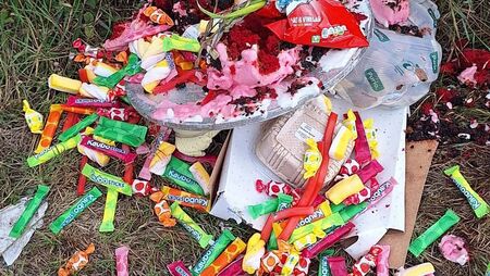 Mattress left in field and a birthday party dumped, fly tipping in county Waterford highlighted