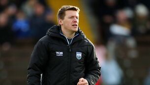<p>Waterford Senior hurling manager Stephen Molumphy will hold an open trial in November. Photo: INPHO</p> <p>Waterford Senior hurling manager Stephen Molumphy will hold an open trial in November. Photo: INPHO</p>