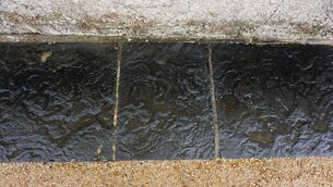 <p>Ancient burrows (Olivellites) preserved along paving stones around the edge of Bishops Palace</p>