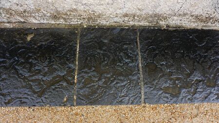 A walk back in time, Waterford's urban fossil trail 