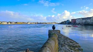 <p>Dungarvan Harbour. Picture by Shannon Sweeney</p>