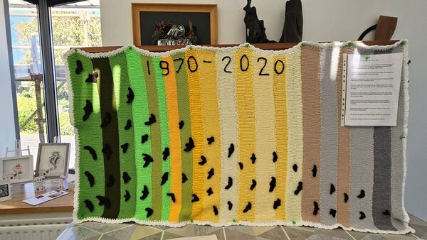 Blanket created by the Central Library Craft Group to raise awareness of biodiversity loss from 1970 to 2020.