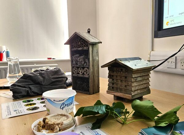 Bug hotels and ivy honey on display from the Déise Men's Shed