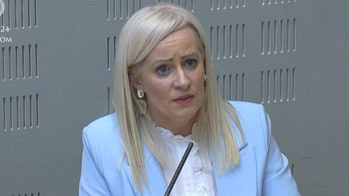 Fianna Fáil minister ‘categorically’ disagrees with Burnham on unity poll