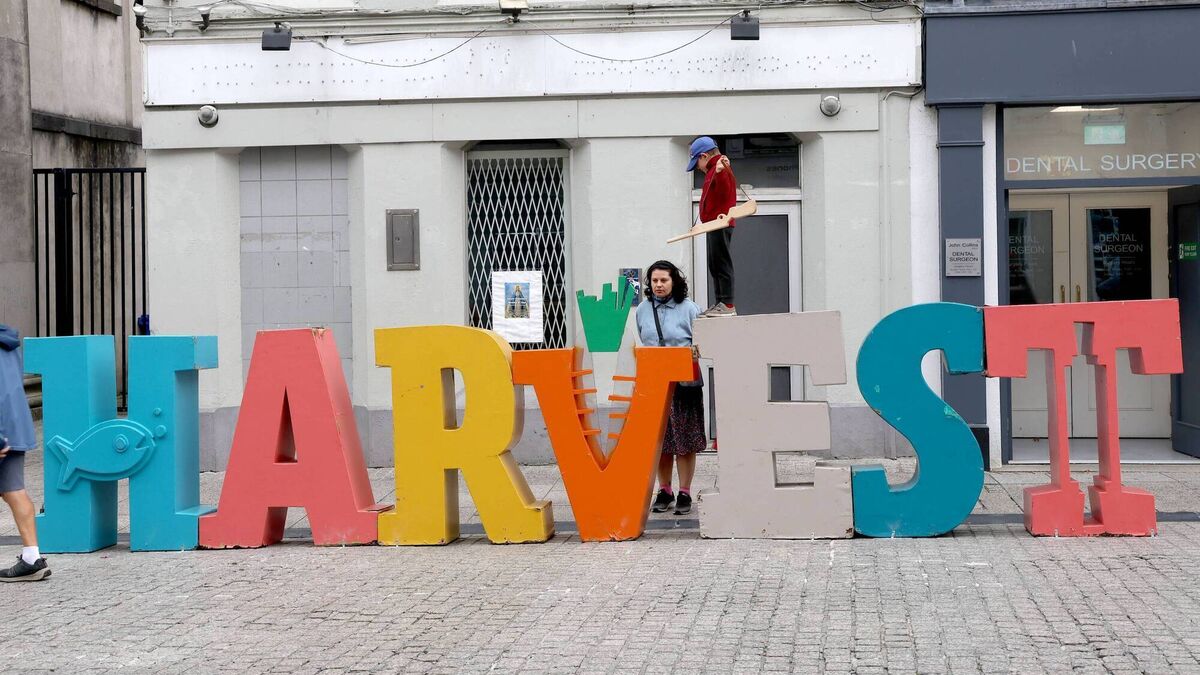 Harvest Festival strengthens Waterford's commitment to inclusion with sensory spaces