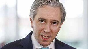 Homelessness surpasses addiction calls, says Ana Liffey report