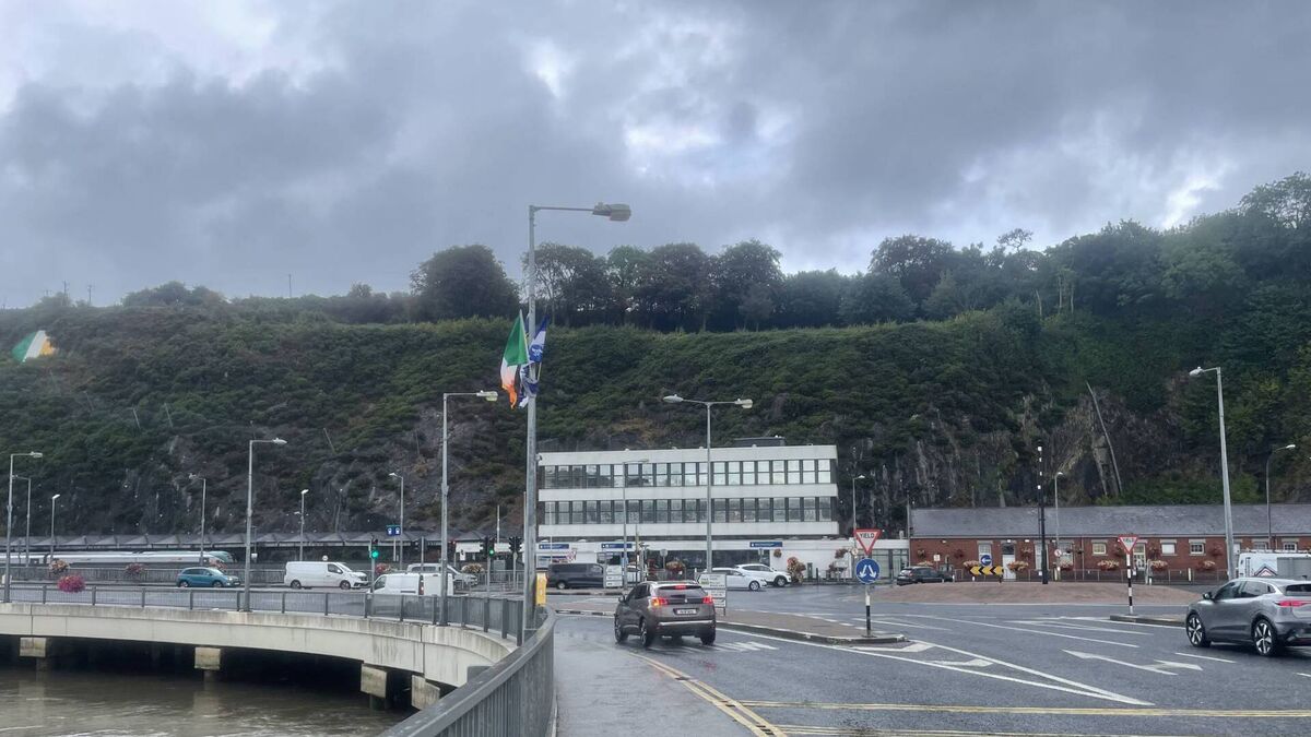 Rosslare-Waterford-Limerick railway 'glaringly omitted' by Government
