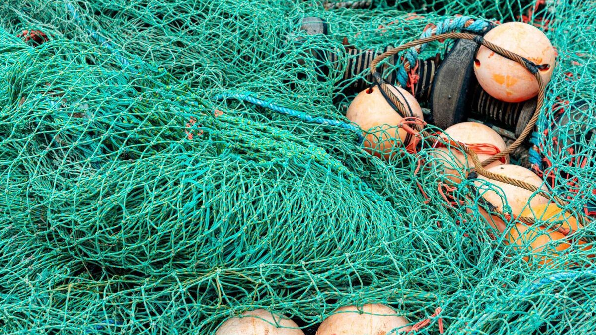 Illegal fishing reported in Co. Waterford