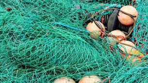 <p>A man in Co. Waterford is accused of using an illegal fishing net. </p>