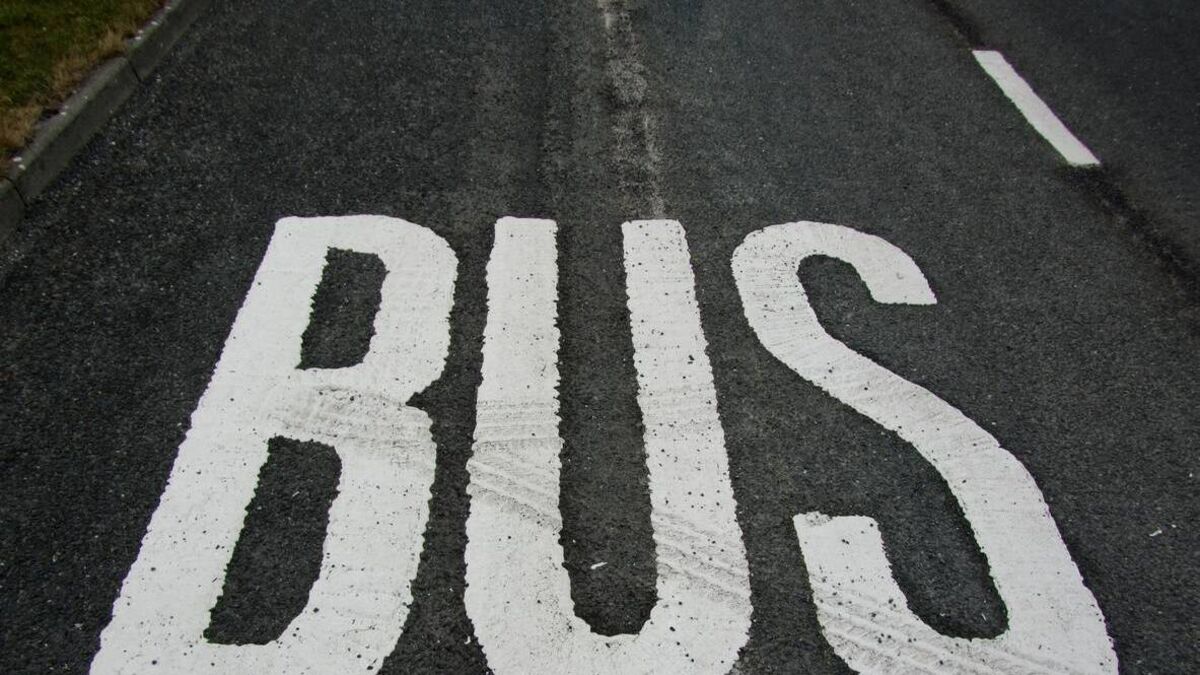 NTA asked to present Bus Connects for local authorities