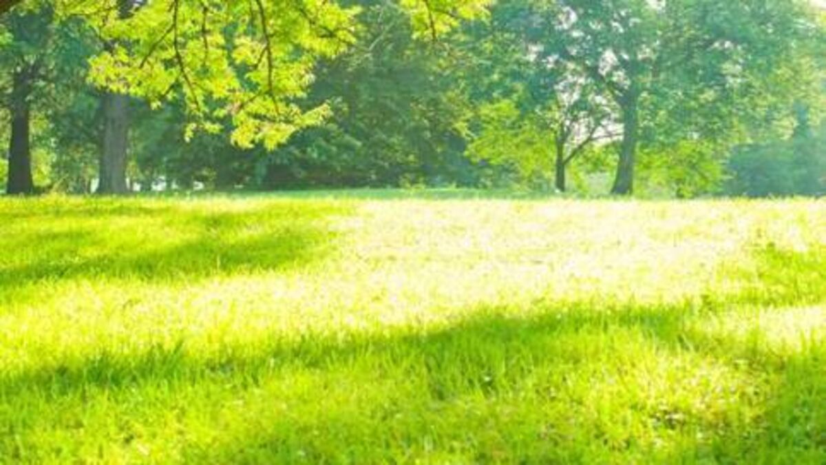 Call for 'ready-made' park to go ahead