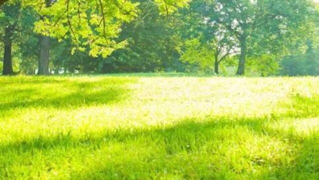 <p>Cllr D'Arcy said the park is badly needed for a rapidly growing population</p>