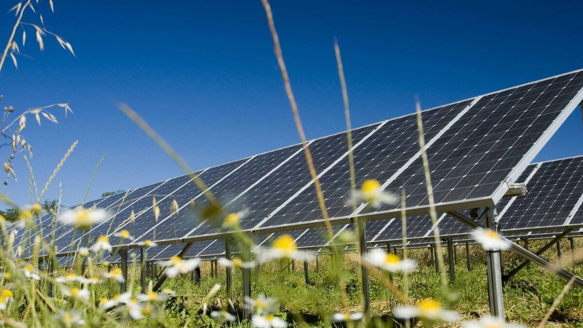 Large solar farm proposed in rural Waterford