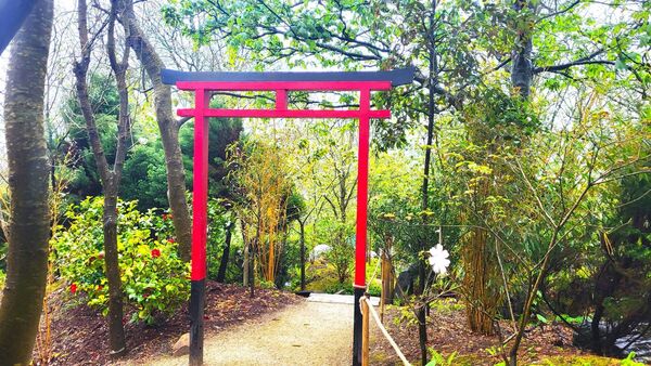 Torii Gate at Lafcadio Hearn Japanese Garden