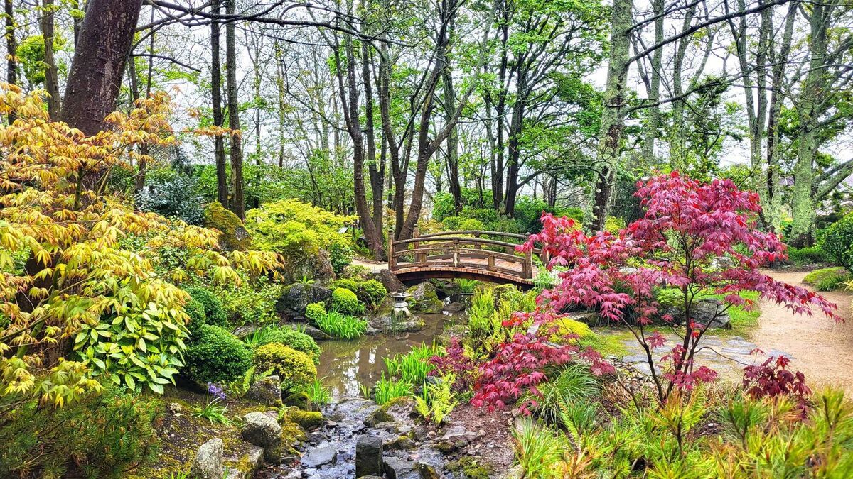 Waterford's gardens are perfect outings during cosy season