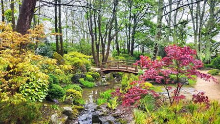 Waterford's gardens are perfect outings during cosy season