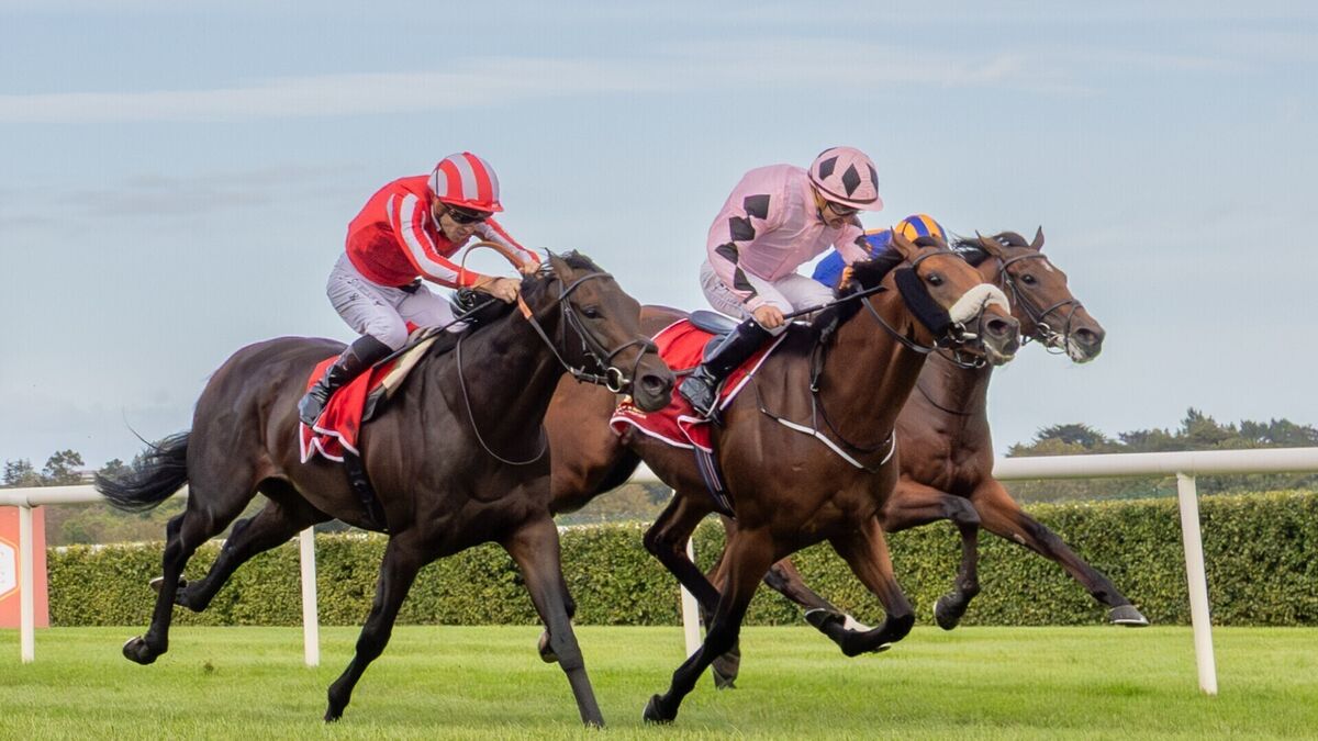 Hotazhell headlines a day to remember on Champions Weekend's opening day