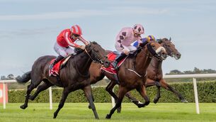 <p>Shane Foley on Hotazhell (pink silks) holds off Christophe Soumillion on Wimbledon Hawkeye to win The Royal Bahrain Irish Champion Stakes (Group 1). Photo: INPHO/Morgan Treacy</p>
