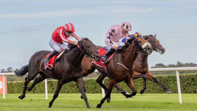 Hotazhell headlines a day to remember on Champions Weekend's opening day