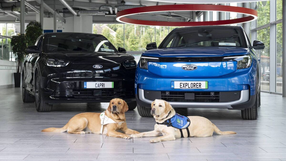 A little drive could go a long way this weekend, as the Drive for your Community initiative comes to Waterford