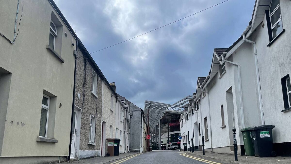 Spring Garden Alley residents speak out over antisocial activity