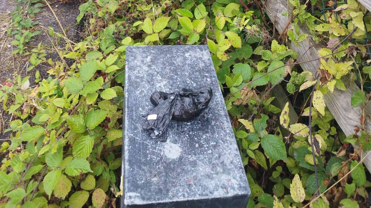 Waterford councillor calls for action following 'unfortunate' dog fouling incident 