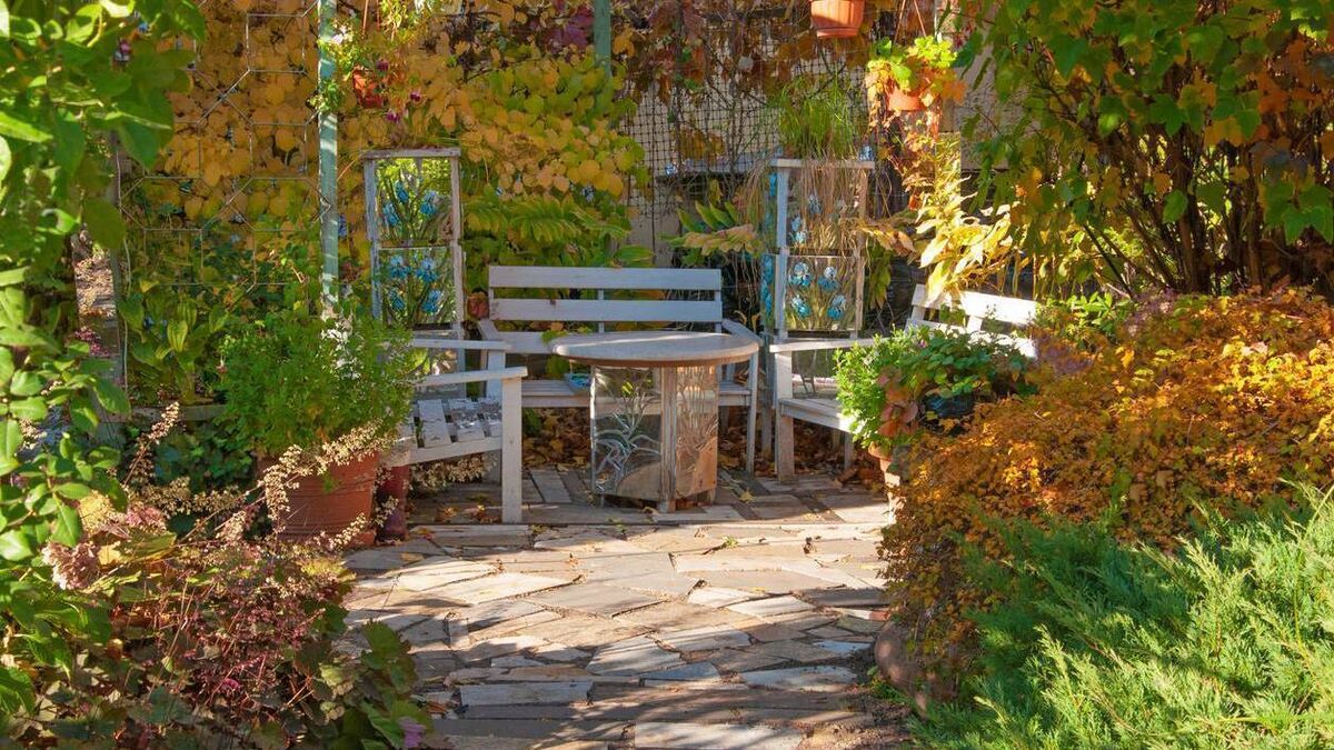 Green Fingers: Shady characters in your garden