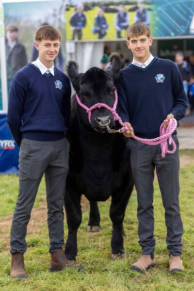 Daniel O’Neill and Edward Moore at the Aberdeen Angus stand at the recent National Ploughing Championships. They took receipt of five Irish Angus-cross calves to rear.