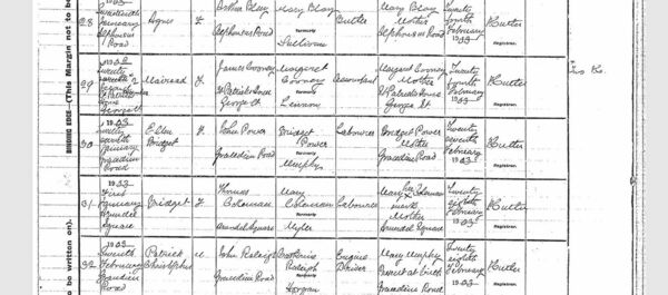 The birth register, which includes Ellen Bridget Power. The birth register, which includes Ellen Bridget Power.