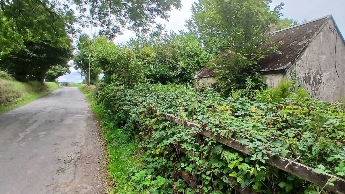 Housing the Déise: Hiding in plain sight - derelict sites left to rot